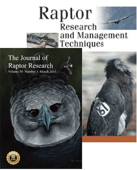 RRF Publications